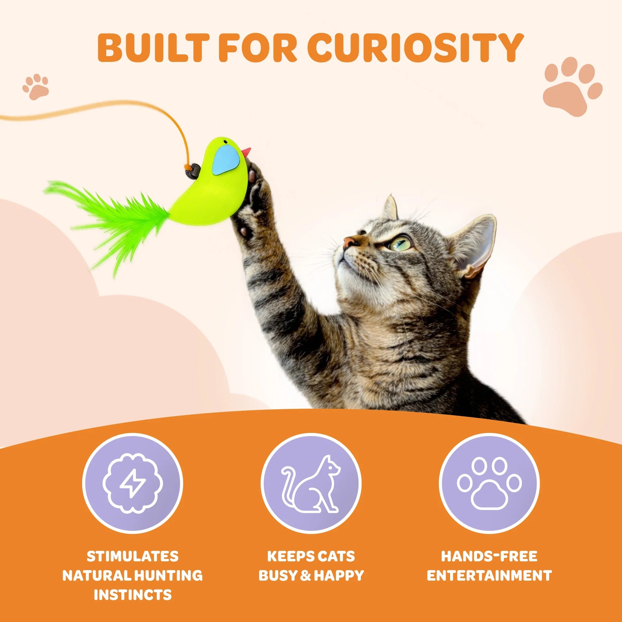 FrenzyBird™ - The Only Toy My Cat Doesn’t Ignore