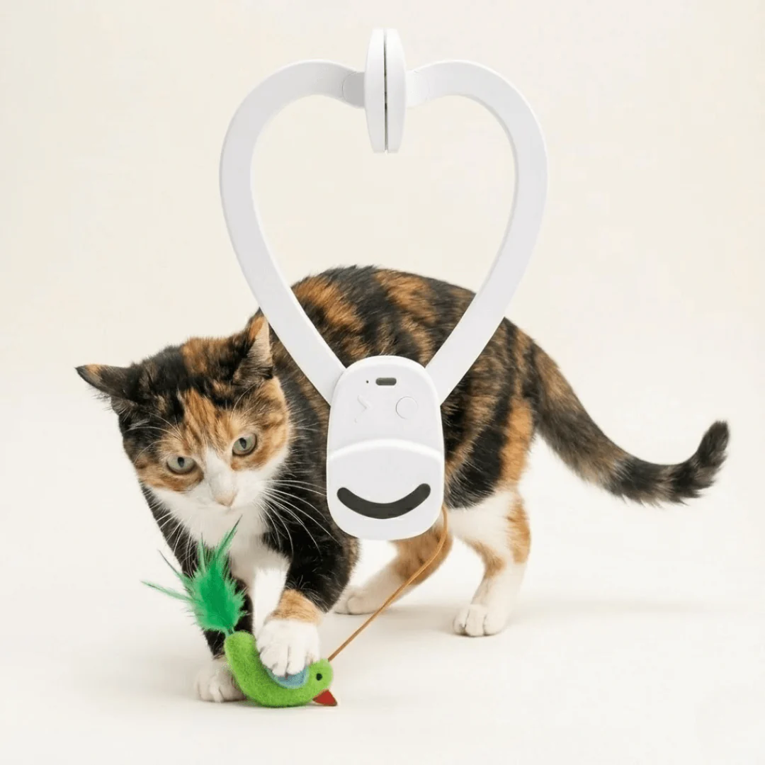 FrenzyBird™ - The Only Toy My Cat Doesn’t Ignore